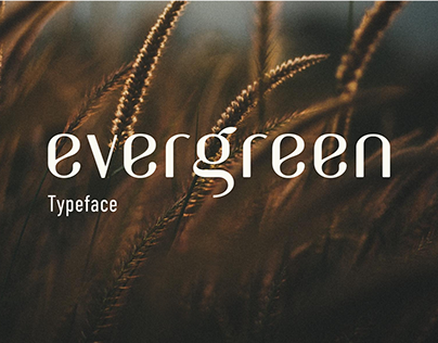 Evergreen typeface