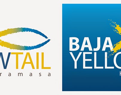 Baja Yellowtail