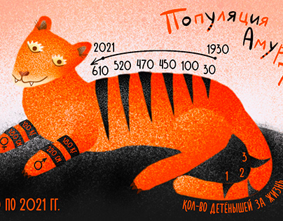 Анимированная инфографика о тиграх