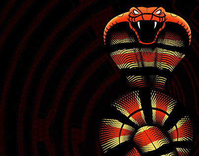 Serpente Projects  Photos, videos, logos, illustrations and branding on  Behance