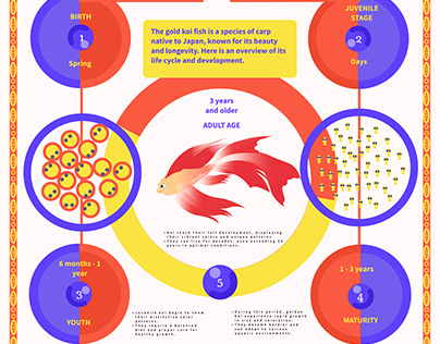 The Fascinating World of the Koi Fish
