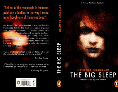 The Big Sleep - Penguin Design Award 2013