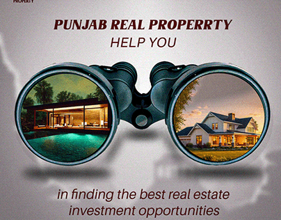 punjab real property