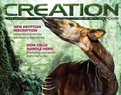 Creation 44(1) cover