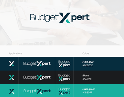 BudgetXpert, identidade visual