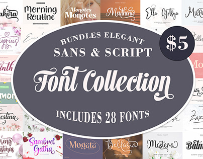 Elegant Sans & Script Font Collection