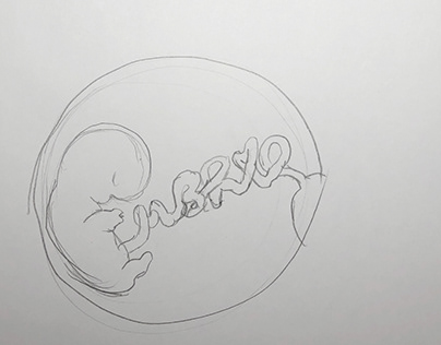 Embryo sketch