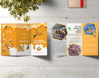 Bee House, Brochure & Logo Set