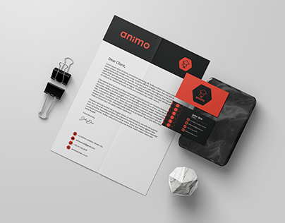 Logo Design - Animo
