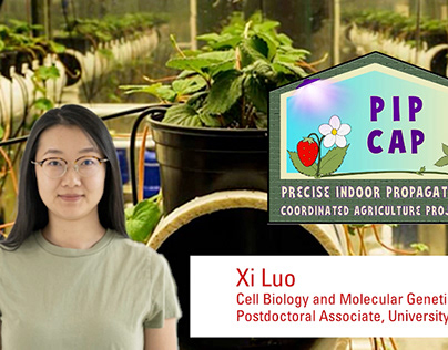 Academia-Industry Student Exchange 6/6: Dr. Xi Lou