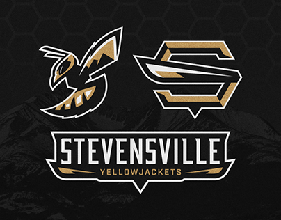 Stevensville Yellowjackets | Rebranding