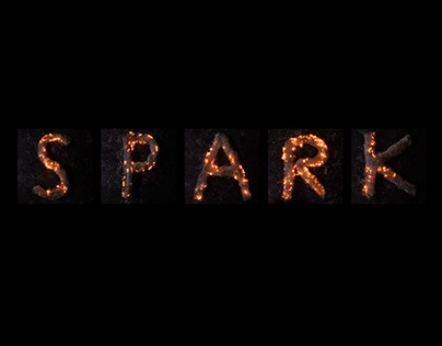 spark/ EVERYTHING IS TYPE