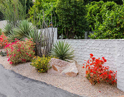 Embrace the Beauty of Drought-Tolerant Landscaping