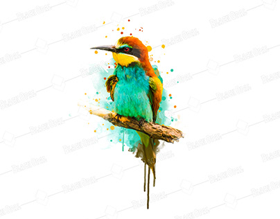 Bird watercolor design for t shirt