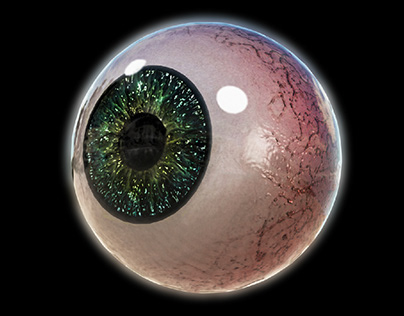 Human Eye - 3D