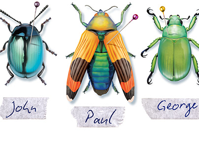 The Beetles - T-shirt Design (Music Geek)