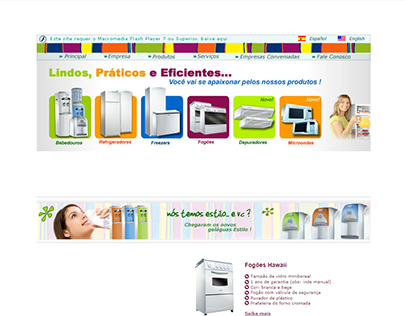 Website Esmaltec (2007)