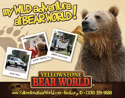 Yellowstone Bear World Branding