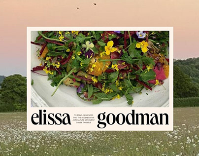 Brand Identity for Holistic Nutritionist Elissa Goodman