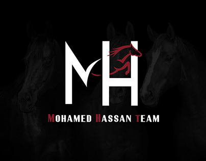 Mohamed Hassan Team