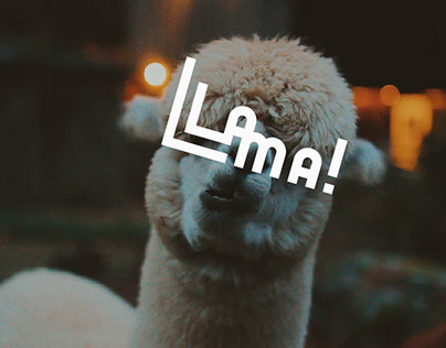 Hiking Llama: Brand Identity