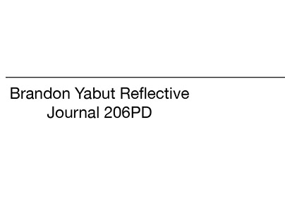 Reflective Journal 206PD