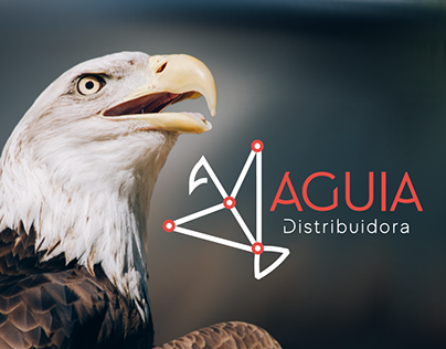 Rebrand/Identidade Visual Águia Distribuidora