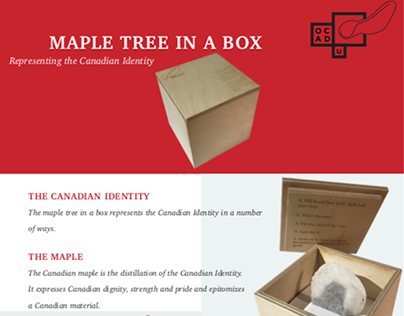 Maple Tree In A Box