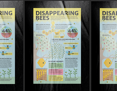 Project thumbnail - Disappearing Bees | infographic