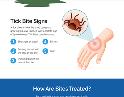 All About Ticks