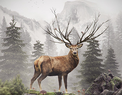 Deer photo manipulation