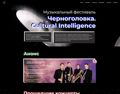 Cultural Intelligence. Music festival