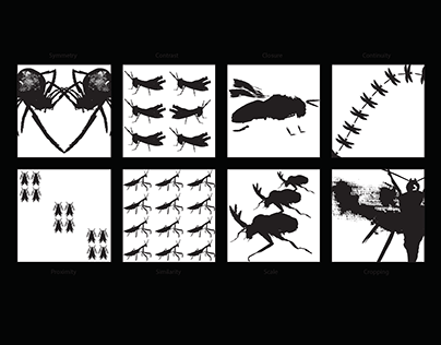 Project thumbnail - Mark Making Bugs