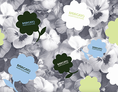 CD200: Packaging Design | Mercato Horticulture