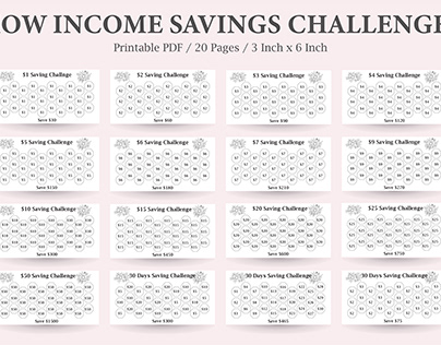 Low Income Savings Challenge,Low-Income Budgeting