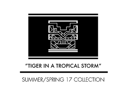 Tiger In A Tropical Storm