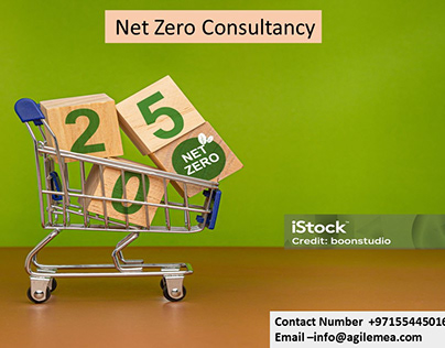 Net Zero Consultancy