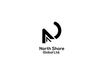 N letter logo Design