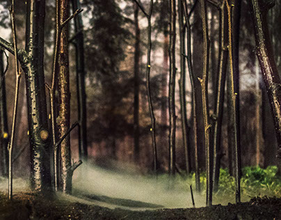 Diorama Foggy Forest