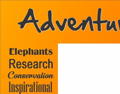 Adventures With Elephants Scenic View