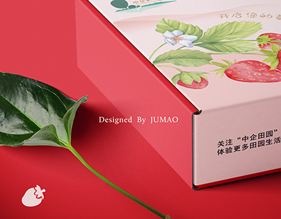 中企农业X橘猫|手绘水果礼盒包装设计