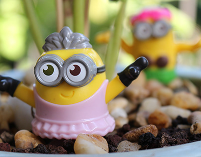 Project thumbnail - Minions Photography Practice