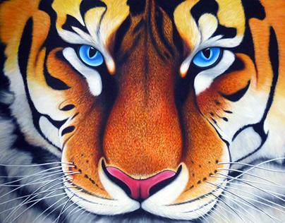 Blue eyed tiger face