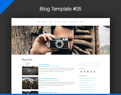 WordPress Blog Template #05