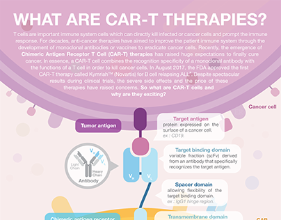 Infographic | What are CAR-T therapies?