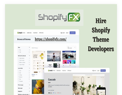 Hire Shopify Theme Developer at Reasonable Cost