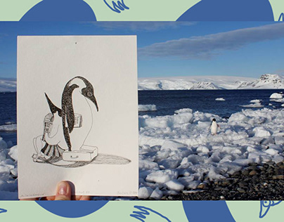 Illustration in Antarctica