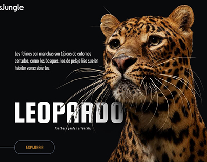 Leopardo Proyect