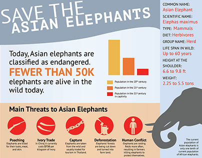 Asian Elephants Infographic