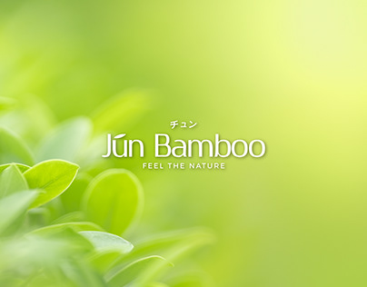 Jun Bamboo Brand Develop & Packaging Design